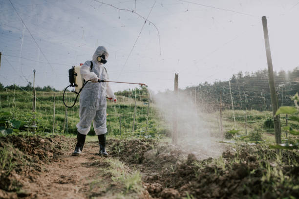 Best Pest Control Cost  in Stamford, CT