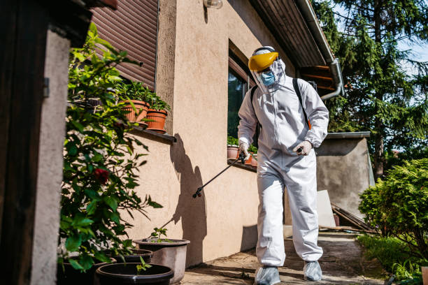 Best Wasp Removal Services  in Stamford, CT