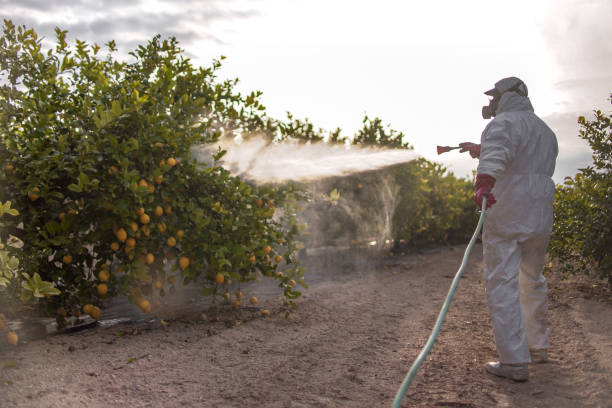 Best Cockroach Control Services  in Stamford, CT