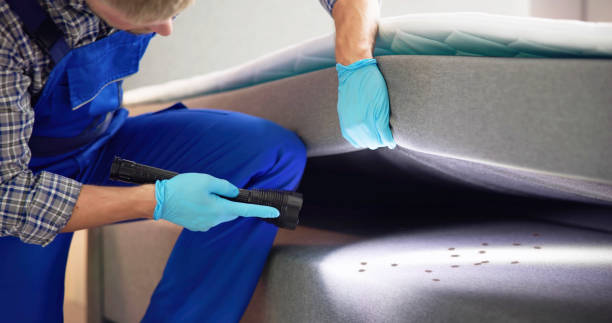 Best Commercial Pest Control Services  in Stamford, CT