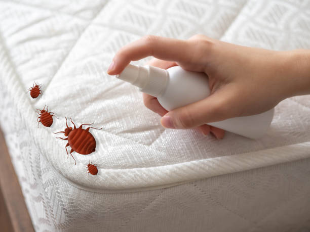 Best Emergency Pest Control  in Stamford, CT