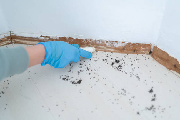  Stamford, CT Pest Control Pros