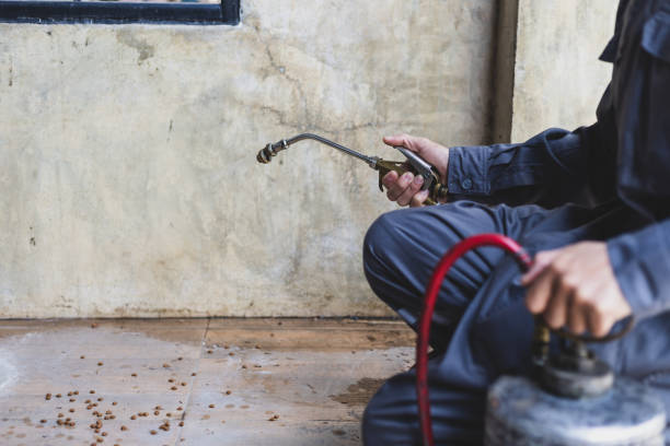 Best Termite Control Services  in Stamford, CT