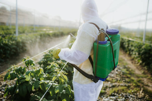 Best Pest Inspection Near Me  in Stamford, CT